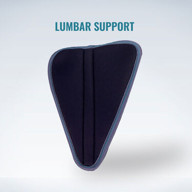 Adjustable Back Support Belt With Lumber Support (ABS01)