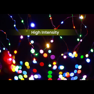 Decoration Light - Snowflake + Rice Light Combo (L11)