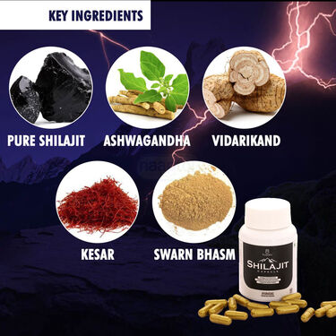 Energy & Stamina Booster Shilajit Capsule (HS02)