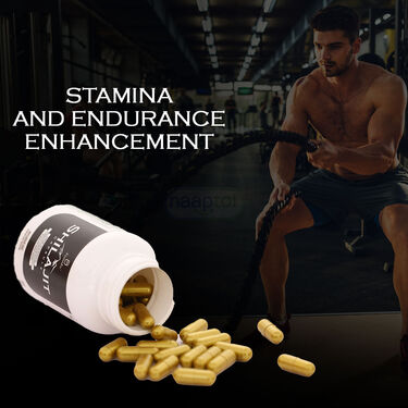Energy & Stamina Booster Shilajit Capsule (HS02)