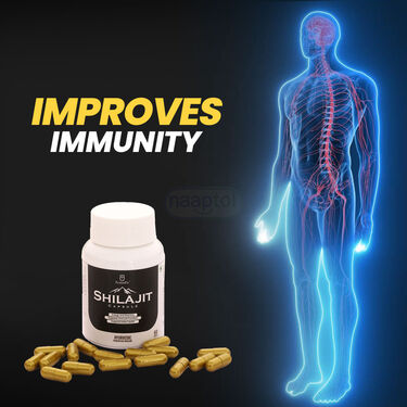 Energy & Stamina Booster Shilajit Capsule (HS02)