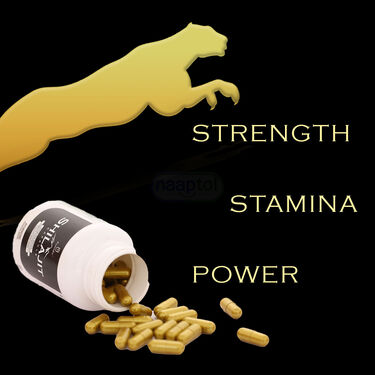 Energy & Stamina Booster Shilajit Capsule (HS02)