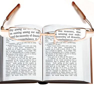 Folding Reading Glasses with Free Wallet (FRG31)