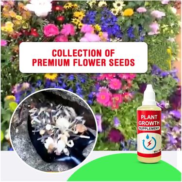 Flower Seeds With Plant Growth Stimulant (FSPGS)