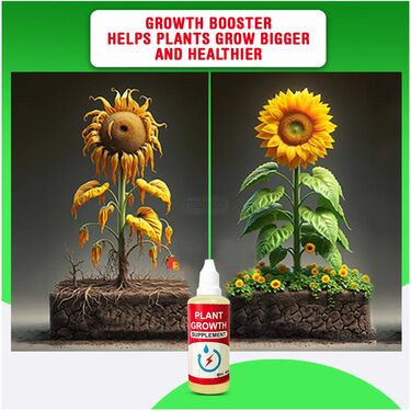 Flower Seeds With Plant Growth Stimulant (FSPGS)