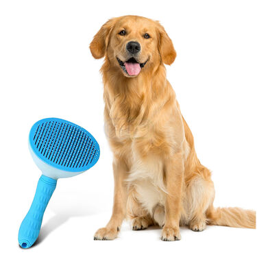Self Cleaning Pet Grooming Brush (PET3)