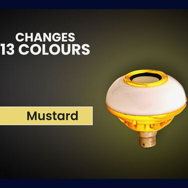Colour Changing LED Bulb with Bluetooth Speaker & Remote (CBSR)