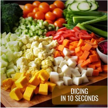 Onion & Vegetable Dicer (DC1)