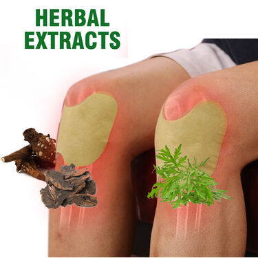 Pack of 12 Knee Pain Relief Herbal Patches (PRS34)