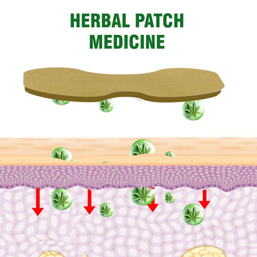 Pack of 12 Knee Pain Relief Herbal Patches (PRS34)