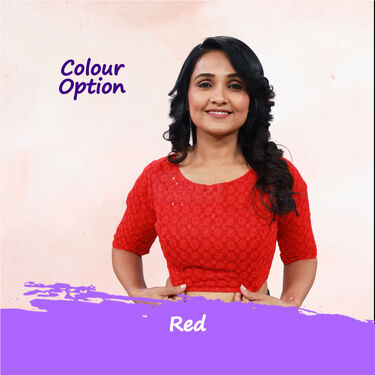 Readymade Designer Blouses For Women Pick Any 1(RB-1)