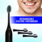 Rechargeable Electric Toothbrush (RTB4)