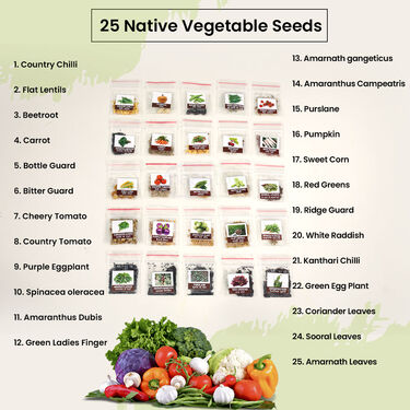 Pack Of 25 Native Vegetable Seeds With Growbags & Biofertiliser For Home Garden (VEGSC)