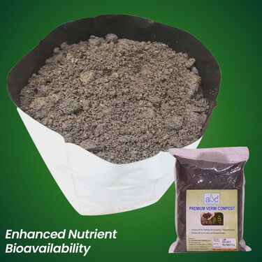 Pack Of 25 Native Vegetable Seeds With Growbags & Biofertiliser For Home Garden (VEGSC)